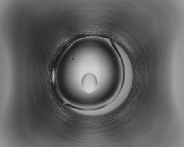 X0000116590692200912171553