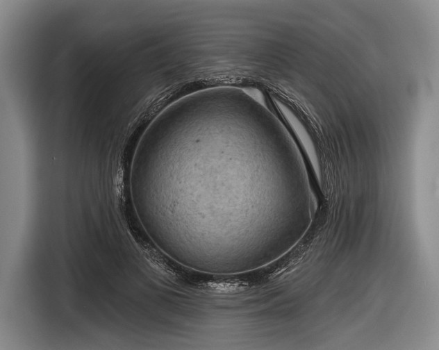 X0000116590693200912171553