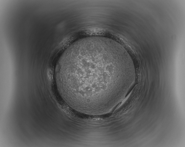 X0000116590695200912171553