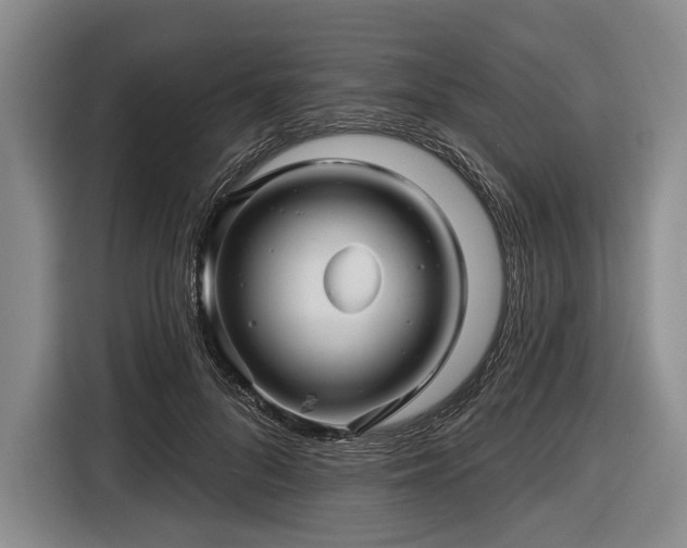 X0000116590696200912171553