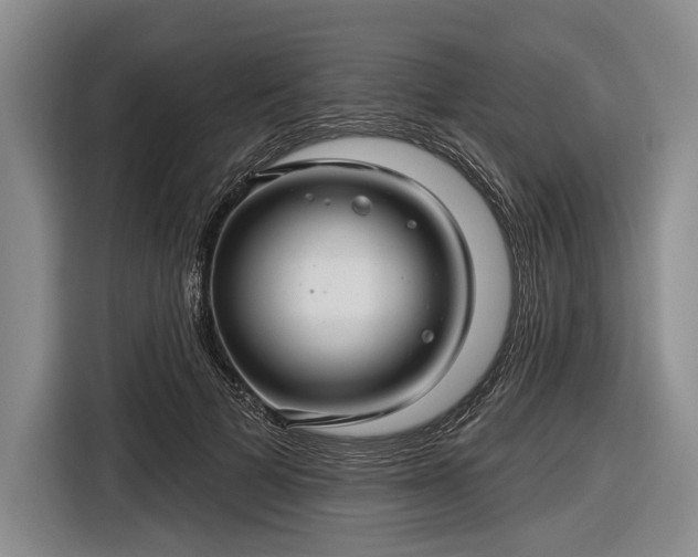 X0000116590697200912171553