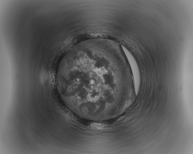 X0000116590699200912171553