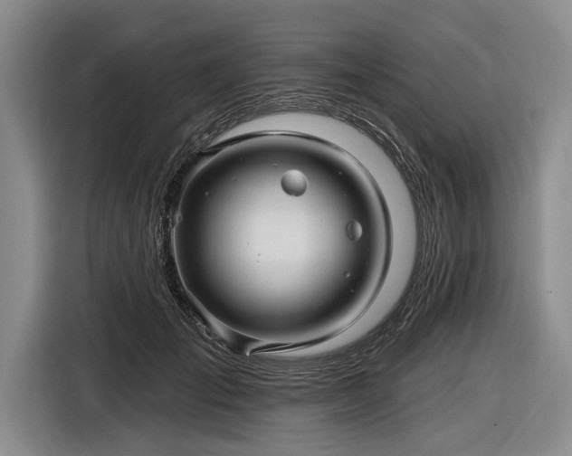 X0000116590701200912171553