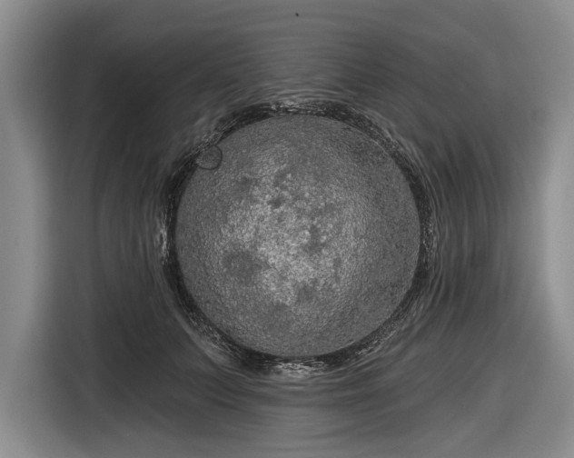 X0000116590703200912171553