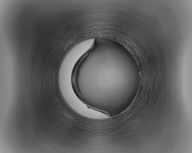 X0000116590704200912171553