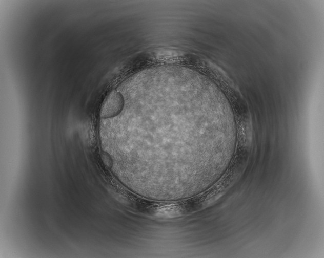 X0000116590705200912171553