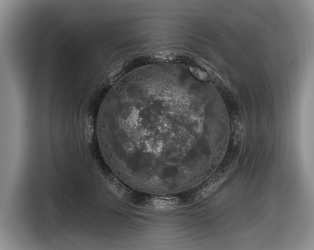 X0000116590707200912171553