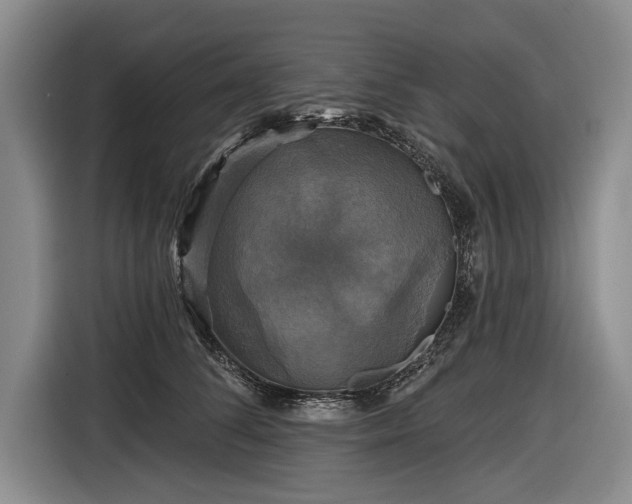 X0000116590708200912171553