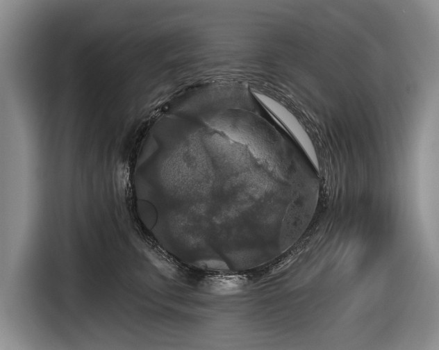 X0000116590711200912171553