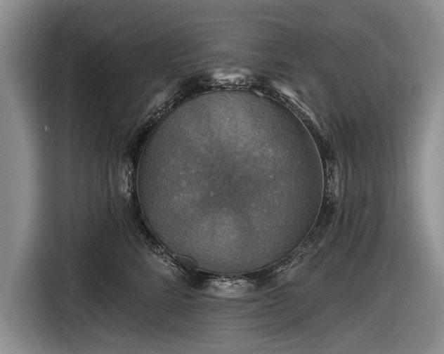 X0000116590712200912171553