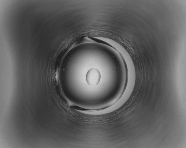 X0000116590713200912171553