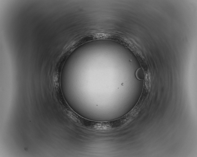 X0000116590714200912171553