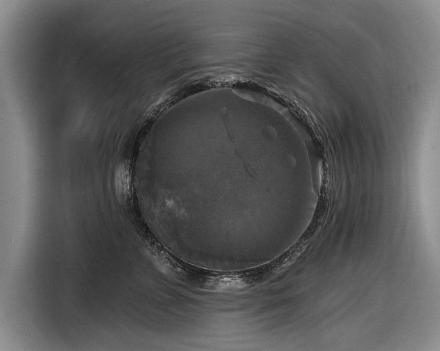 X0000116590715200912171553