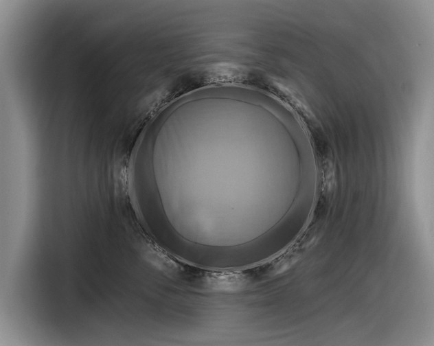 X0000116590716200912171553