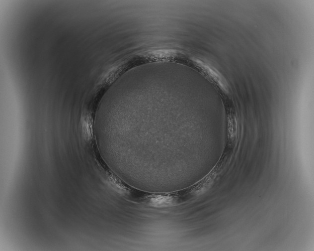 X0000116590718200912171553