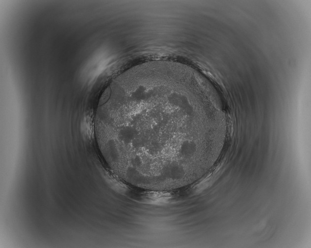 X0000116590719200912171553