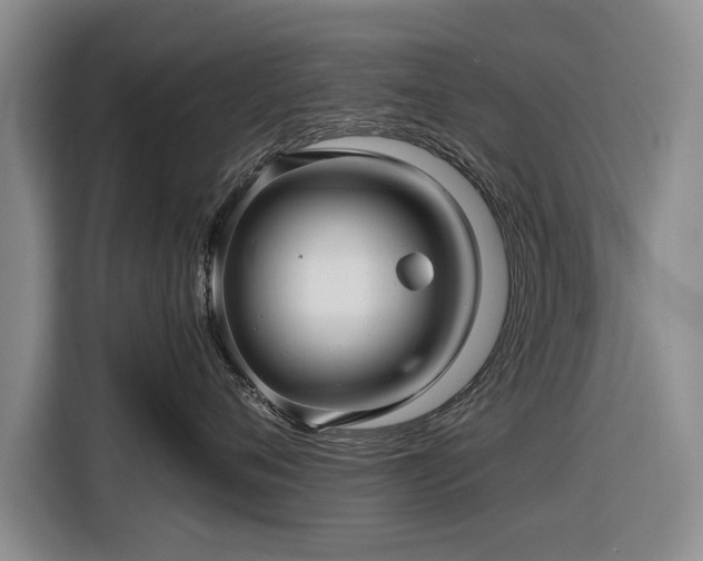 X0000116590720200912171553