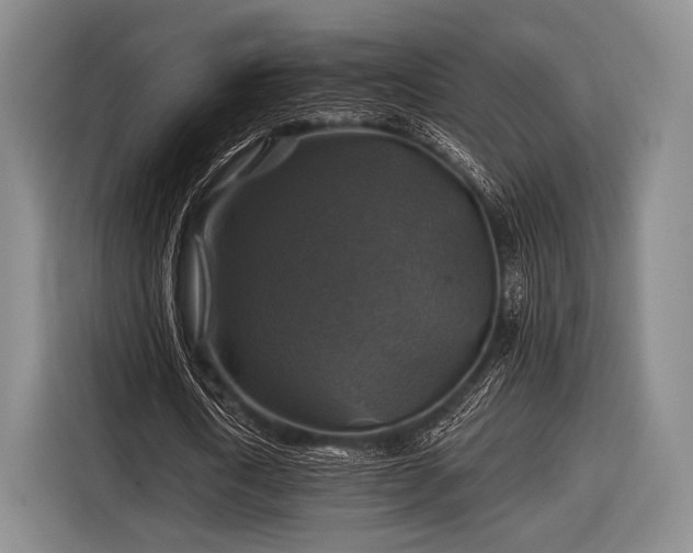 X0000116590722200912171552