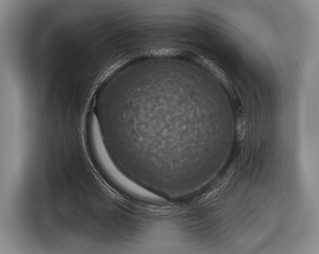 X0000116590725200912171553