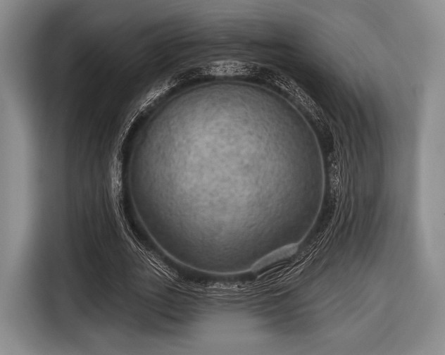 X0000116590727200912171553