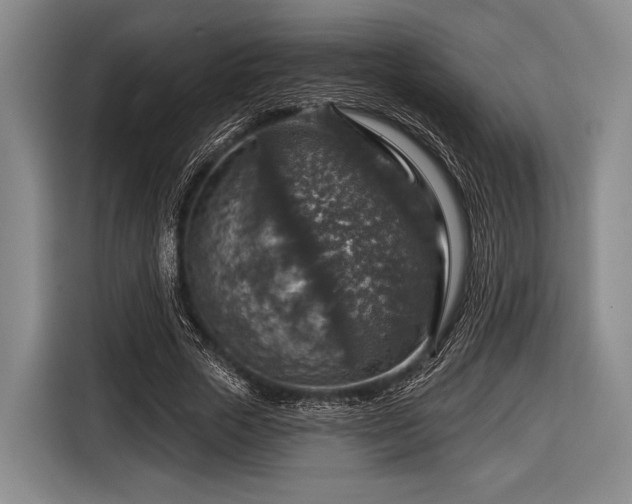 X0000116590729200912171553