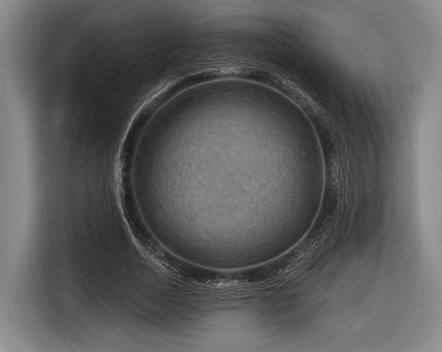 X0000116590730200912171553