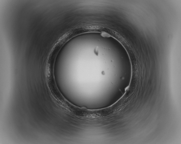 X0000116590731200912171553