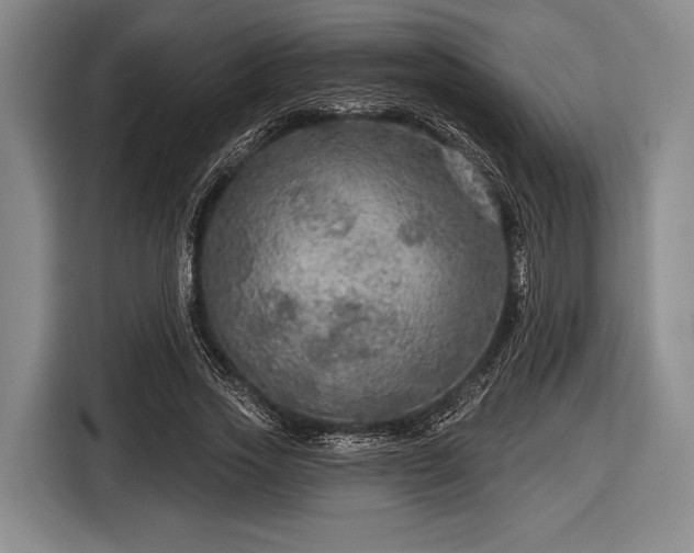 X0000116590733200912171553