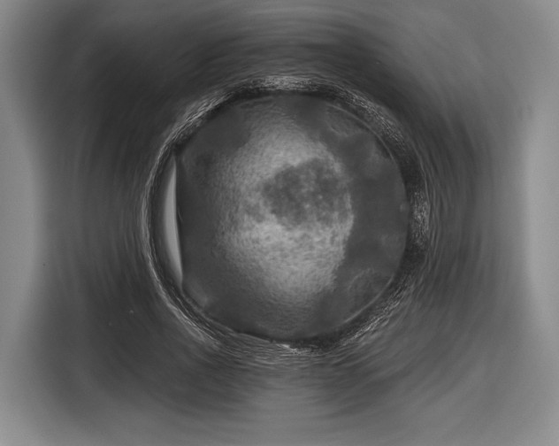 X0000116590734200912171553