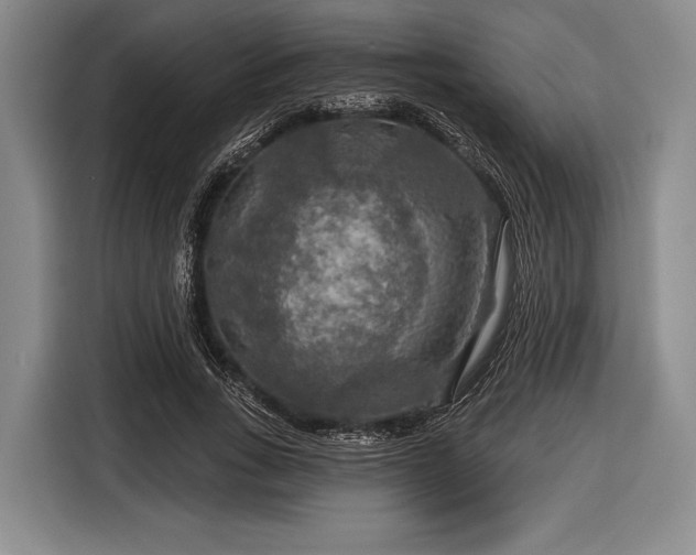 X0000116590735200912171553