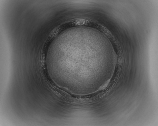 X0000116590737200912171553