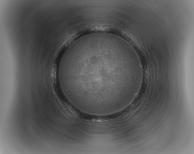 X0000116590739200912171553