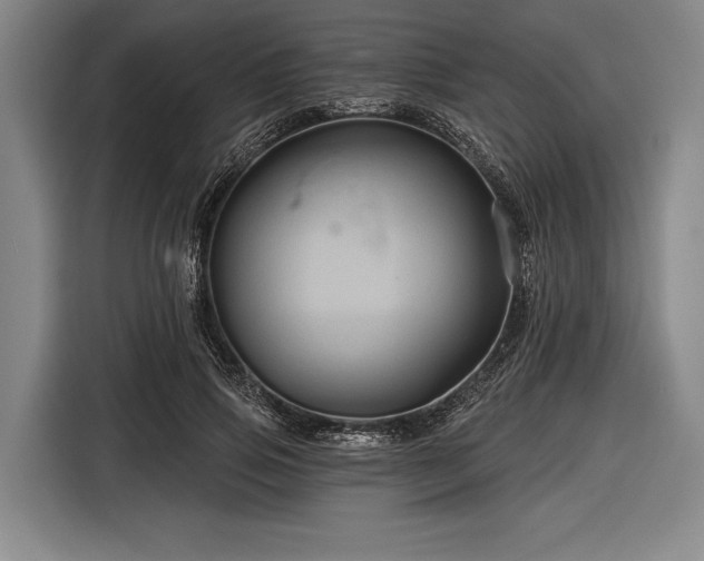 X0000116590741200912171553