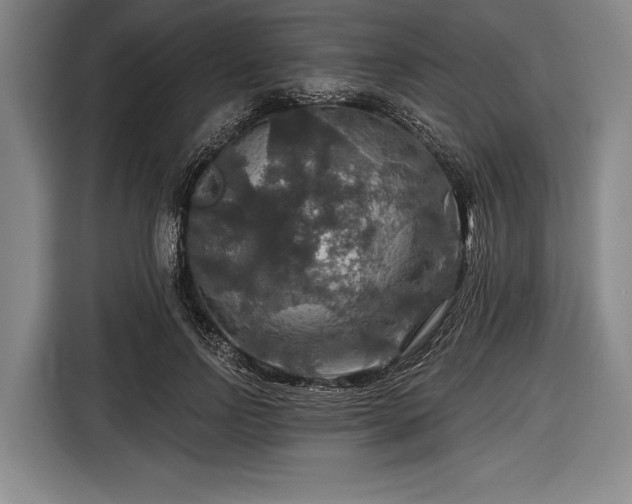 X0000116590742200912171553