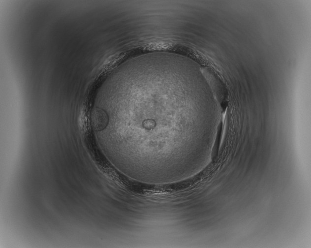 X0000116590743200912171553