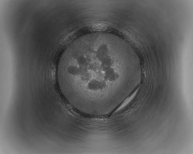 X0000116590745200912171553