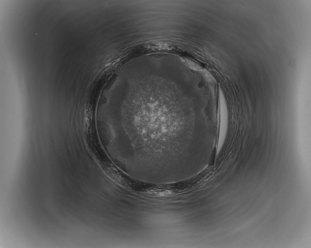 X0000116590747200912171553