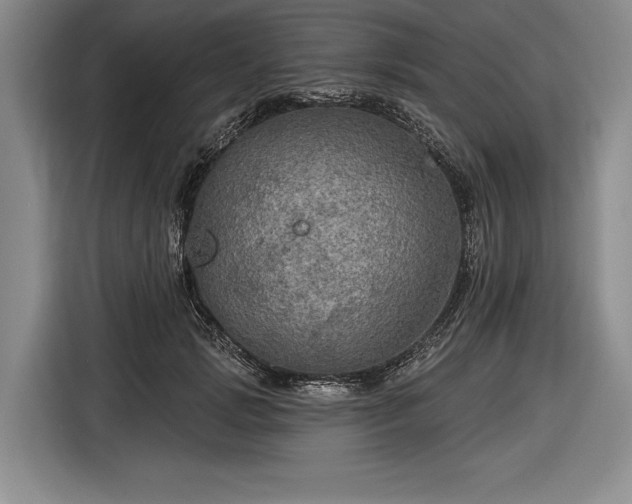 X0000116590749200912171553