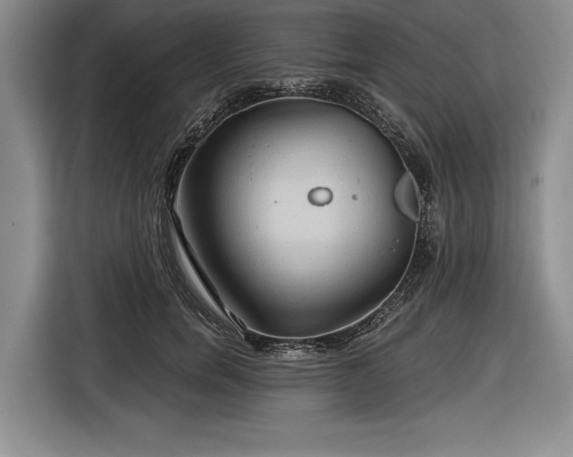 X0000116590750200912171553