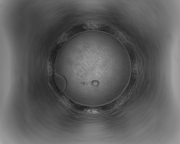 X0000116590751200912171553