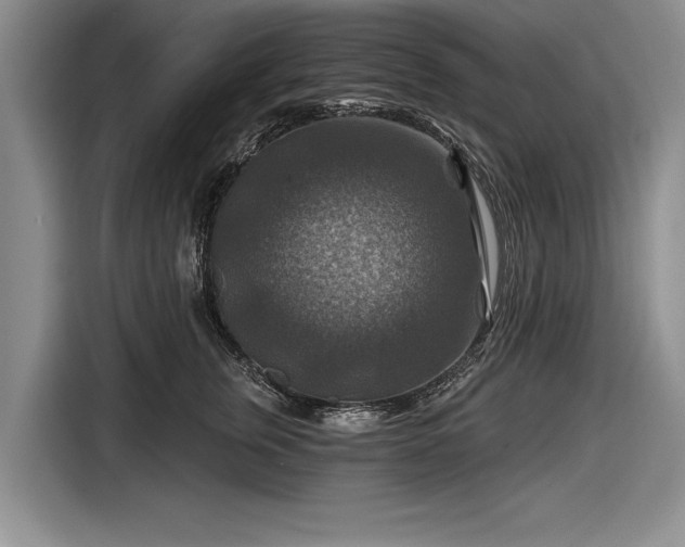 X0000116590759200912171553