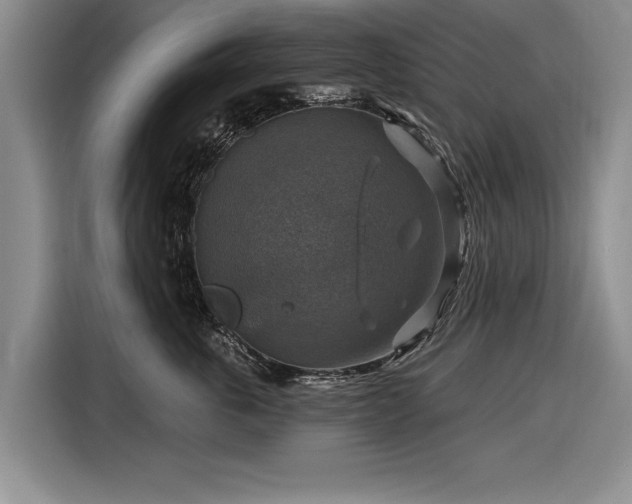 X0000116590763200912171553