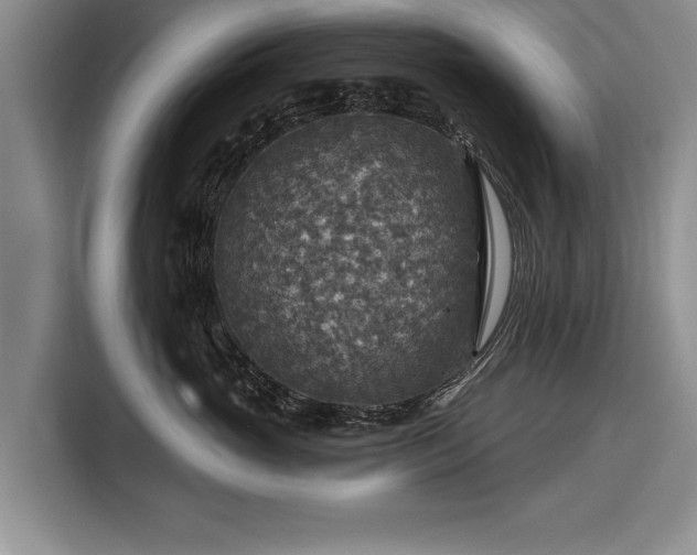 X0000116590765200912171553