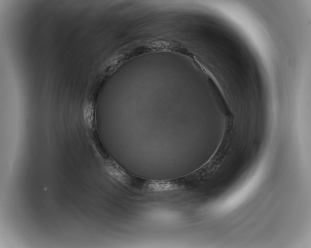 X0000116590767200912171553