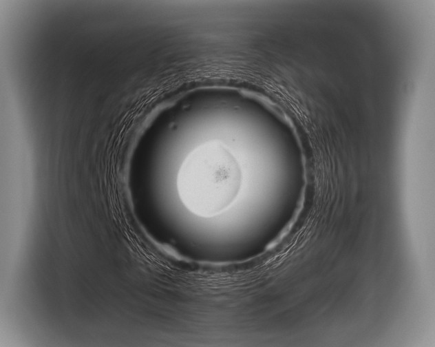 X0000116590769200912171552