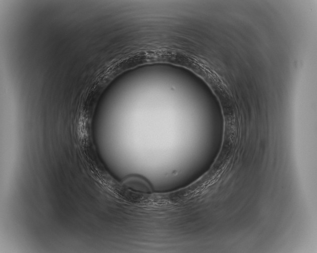 X0000116590770200912171552