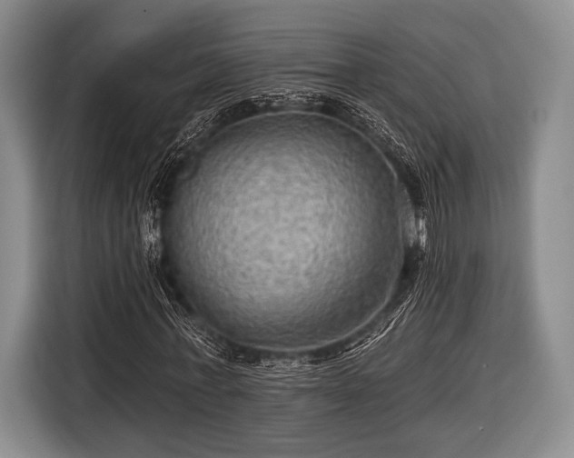 X0000116590771200912171552