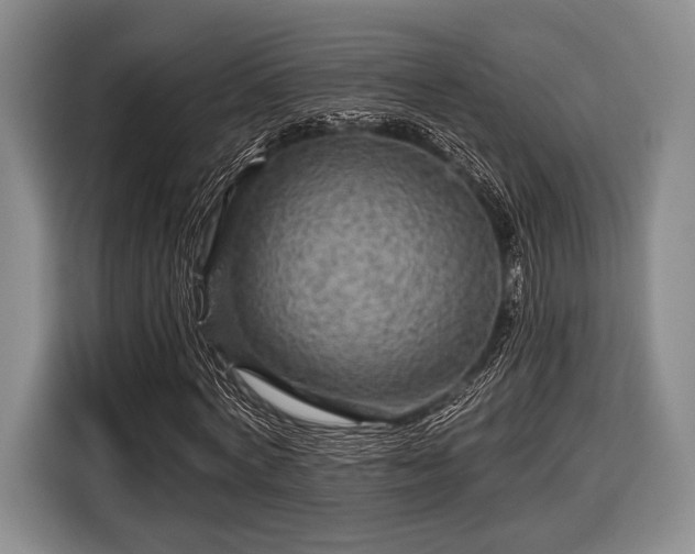 X0000116590772200912171552