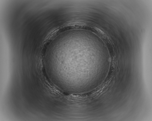 X0000116590774200912171552