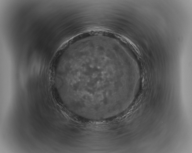 X0000116590775200912171552